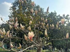 -塔子山公园