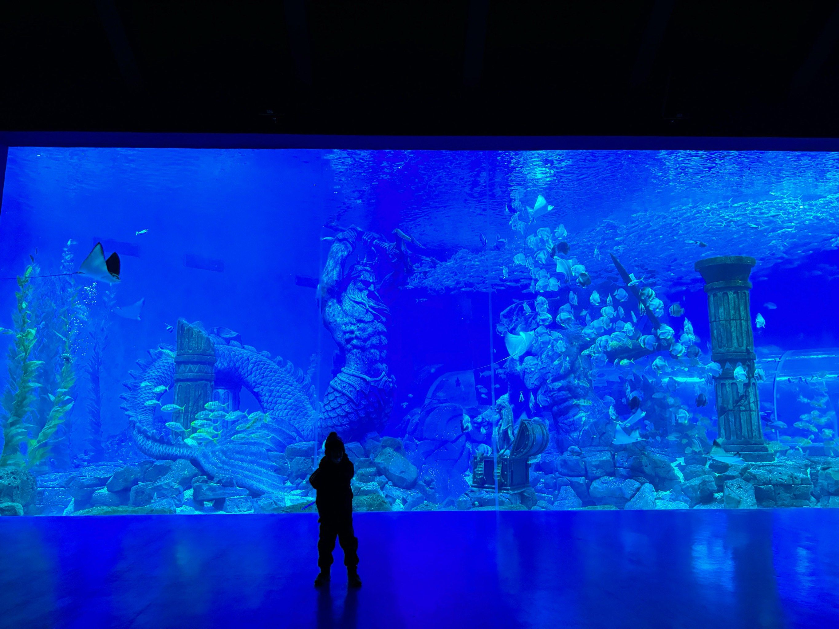 波塞冬海底世界