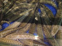 -褒河栈道渔庄(建工路总店)