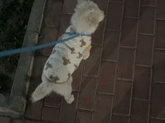 -佑安动物医院·全科·内窥镜中心(幸福巷店)