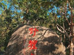-野狸岛
