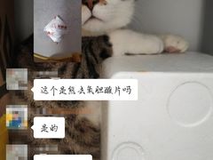 -伟伟宠物医院·瑞派猫友好医院·猫科(光谷店)
