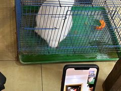 -阿伟鹅肉面馆白斩店(谢家总店)