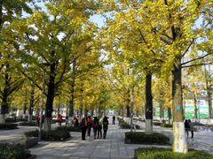 -百林公园-两江幸福广场
