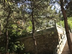 -藏山旅游风景区