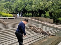 -南山植物园