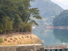 -广州市流溪河国家森林公园