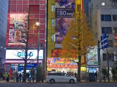 -秋叶原电器街