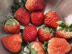 -百果园(深圳市悠山美地店)