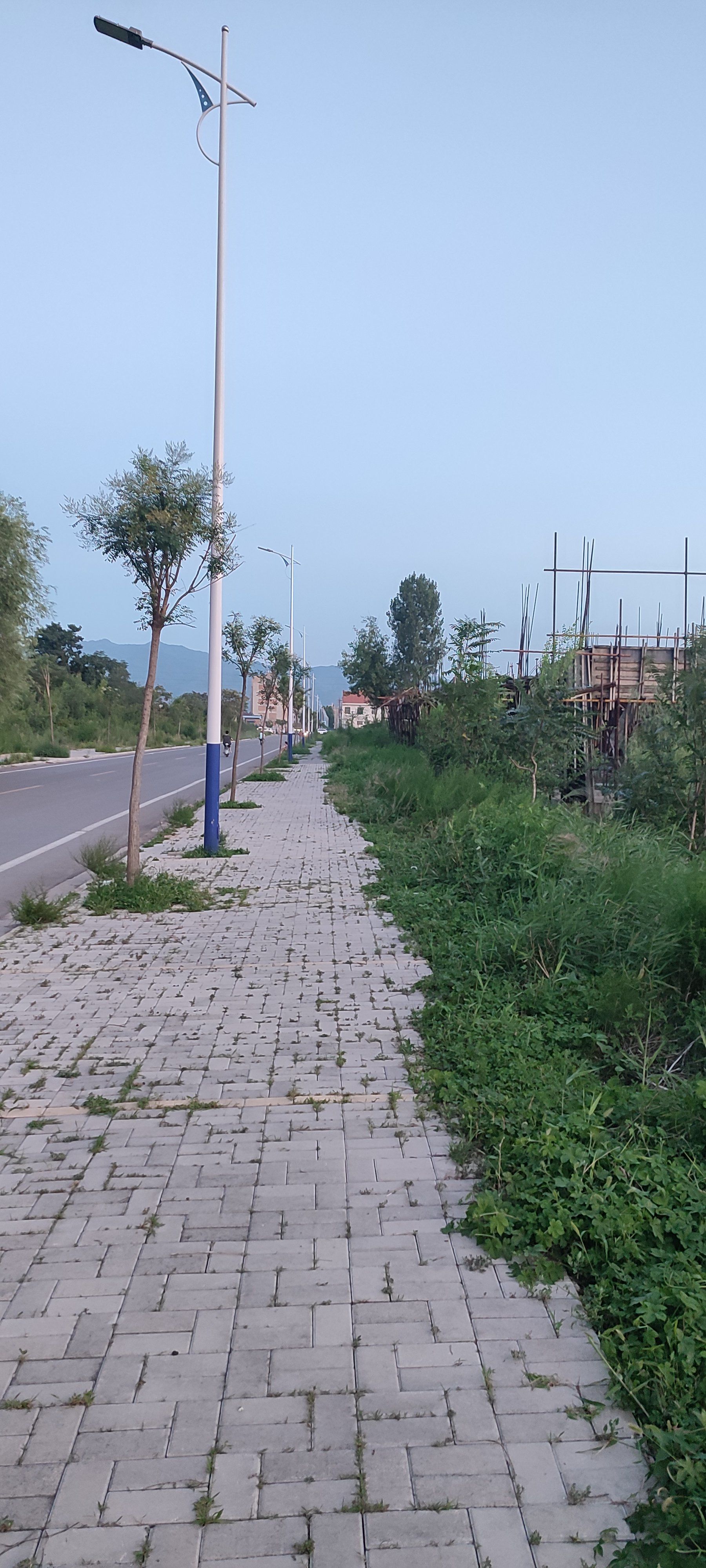 乡村路上的风景线