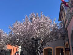 -京津佛罗伦萨小镇