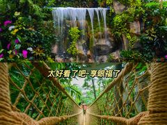 -正佳雨林生态植物园