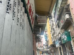 -洪馨椰子