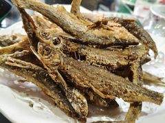 -一品渔乡·水库灶台鱼·乐享庭院