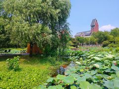 -美兰湖景区