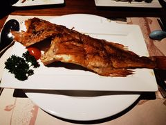 -Mr·Fish鱼鲜生海鲜放题(银泰in99店)