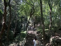 -韬光茶庵