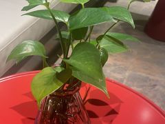 -上海外滩雅致酒店