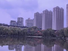 -木塔寺遗址生态公园