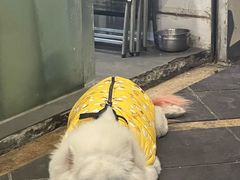 -Fuzzy Bistro 浮几韩餐·茶酒馆
