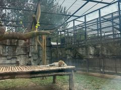 -石家庄市动物园