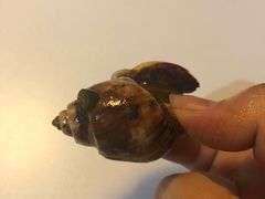 -臻鲜燕海鲜融合餐厅(金陵style店)