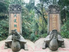 -青城山