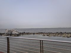 -上海吴淞炮台湾国家湿地公园