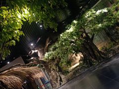 -圩墩遗址公园