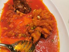 -蝶园·装修中(BFC外滩金融中心店)