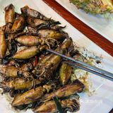 东山岛超好吃的海鲜大餐，快冲！！！