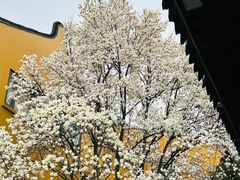 -龙华寺