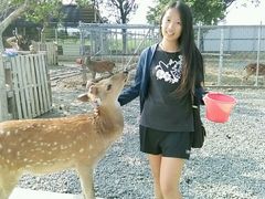 -鹿境梅花鹿生态园区