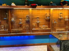 -多彩贵州城极地海洋世界