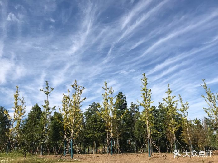 長興島郊野公園圖片 - 第2張