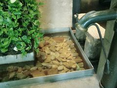 -外婆家(杭州马塍店·杭帮菜名店)