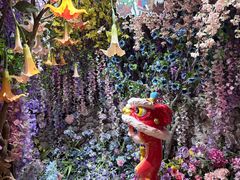 -正佳雨林生态植物园