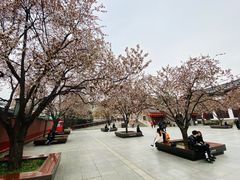 -大雁塔北广场音乐喷泉