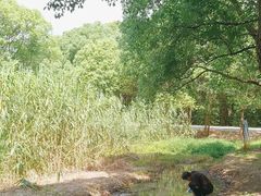 -同里国家湿地公园