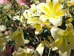 -春暖花开(西溪店)