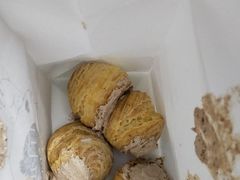 巧克力泡芙-贝紫Style(木马公寓店)