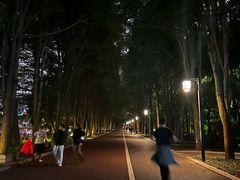 -南宁南湖公园