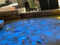 -新沸腾鱼乡(世贸天阶店)