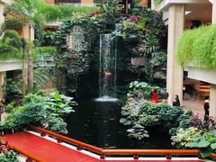 -白天鹅宾馆-宏图府餐厅