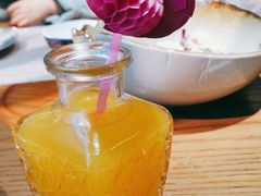 -雀舞云南菜(乐客城店)