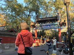 -北京国子监胡同