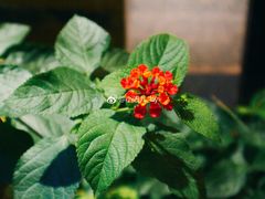 -品腐记·豆腐王朝(老门东总店)