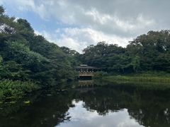 -济州森林小火车生态公园