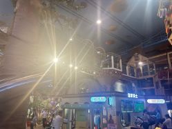 -卡通尼·Safari非洲探索乐园·生日会(金桥国际商业广场店)