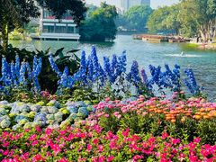-荔湾湖公园